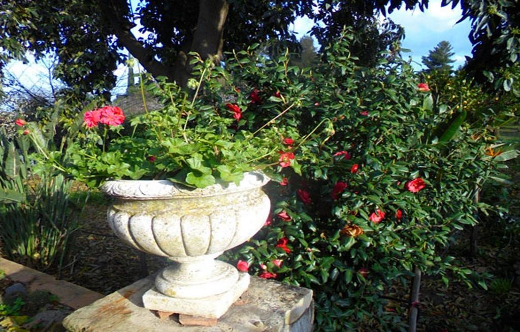 Baglio Delle Rose Bed & Breakfast จาร์เร ภายนอก รูปภาพ
