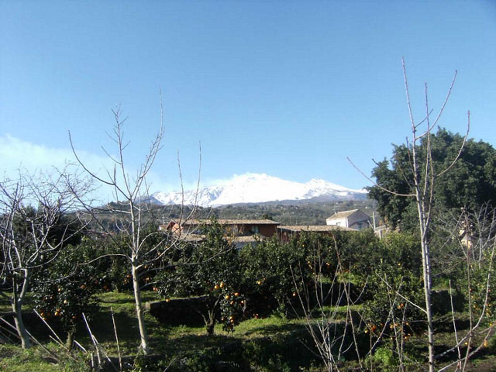 Baglio Delle Rose Bed & Breakfast จาร์เร ภายนอก รูปภาพ